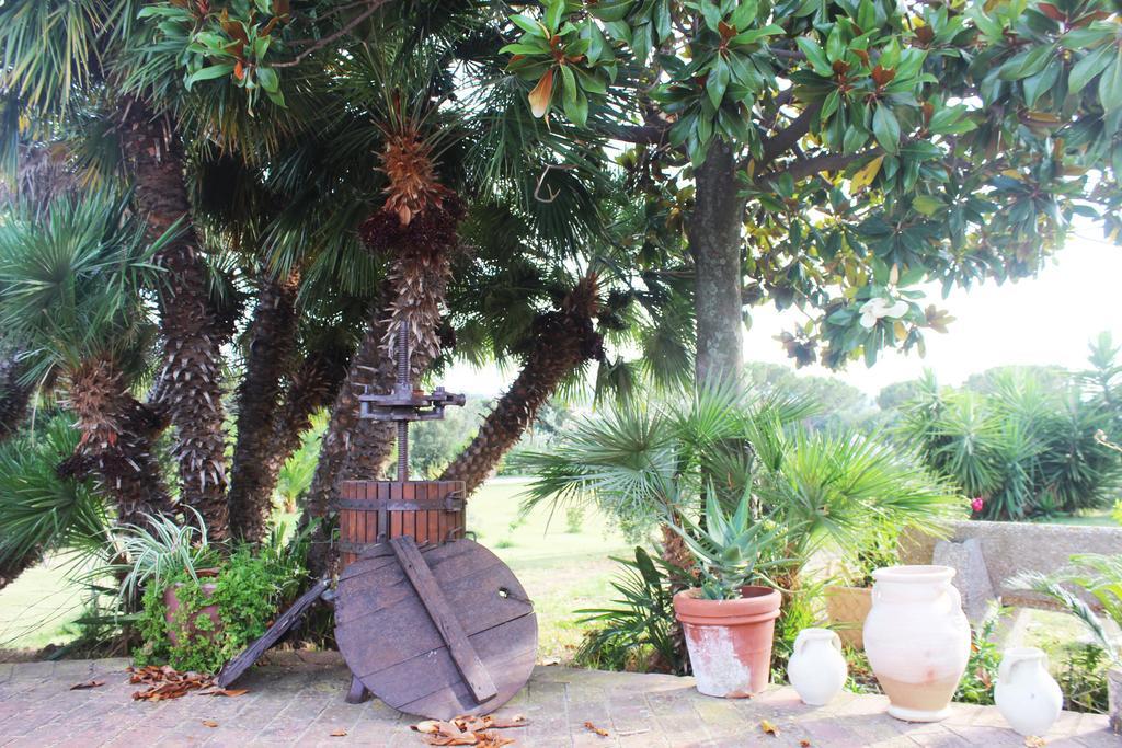 Guest House Villa Di Judighes Cerveteri Eksteriør billede