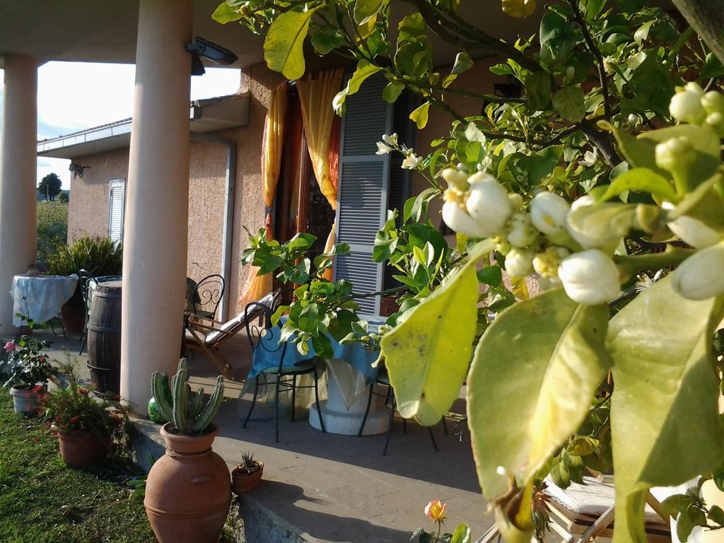 Guest House Villa Di Judighes Cerveteri Eksteriør billede