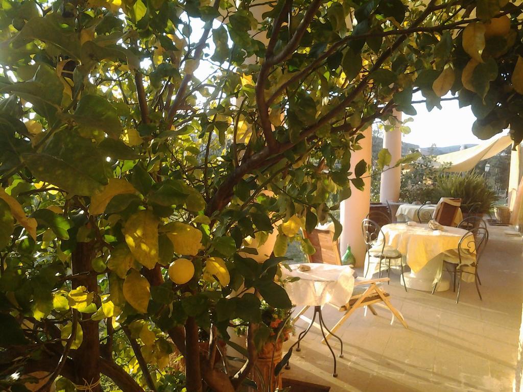 Guest House Villa Di Judighes Cerveteri Eksteriør billede