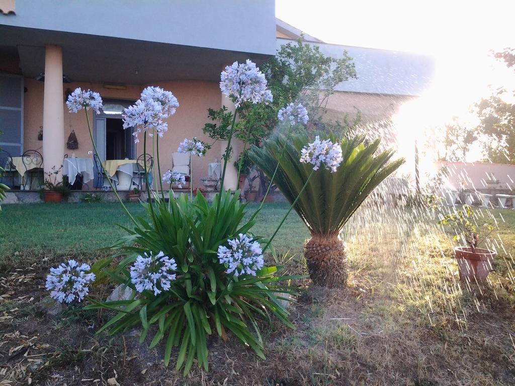 Guest House Villa Di Judighes Cerveteri Eksteriør billede