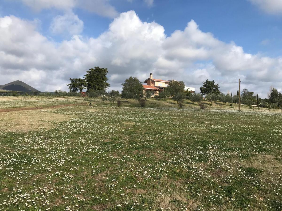 Guest House Villa Di Judighes Cerveteri Eksteriør billede
